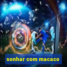 sonhar com macaco